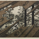 Modderplas - Puddle